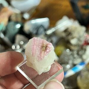 Tourmaline in Quartz Crystal Specimen